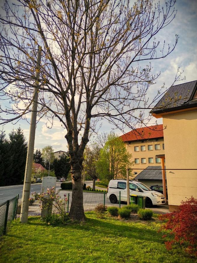 Apartma Tara Apartment Prebold