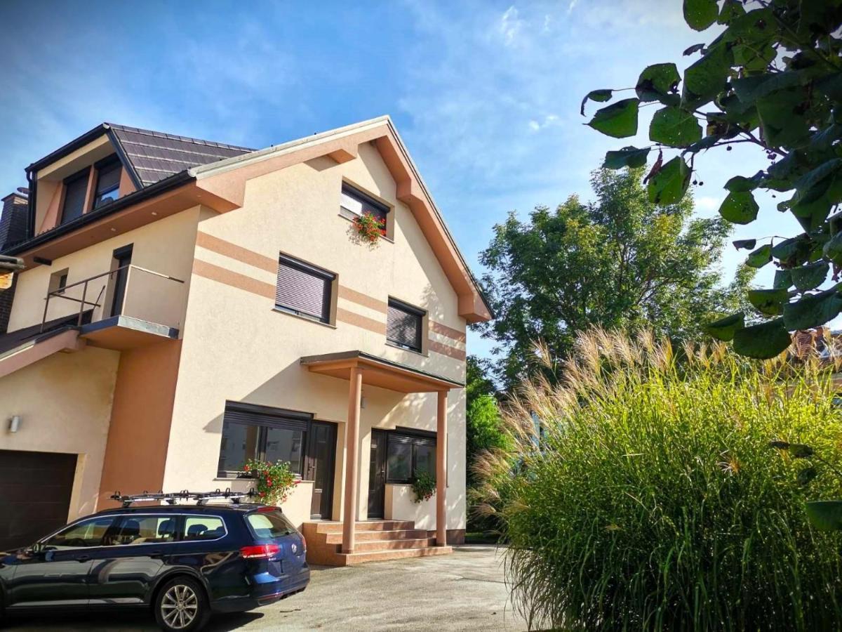Apartma Tara Apartment