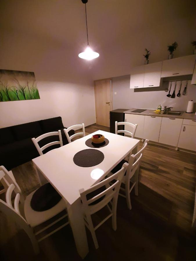 Apartma Tara Apartment Prebold