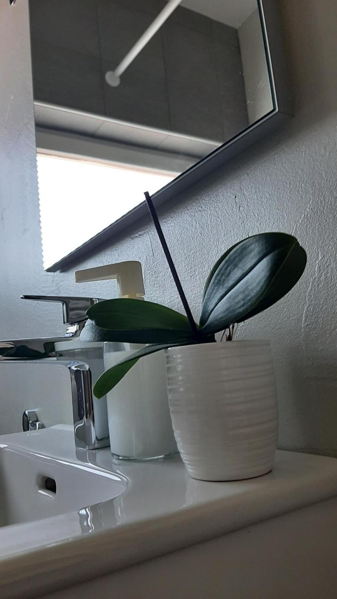 Apartma Tara Apartmán Prebold